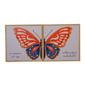Duo Quadros Metamorfose