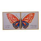 Duo Quadros Metamorfose