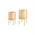 Kit Cachepot Ouro