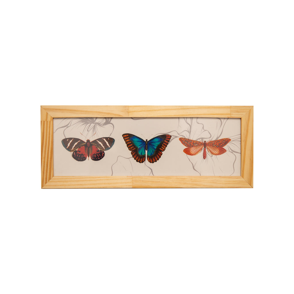 Quadro Borboleta