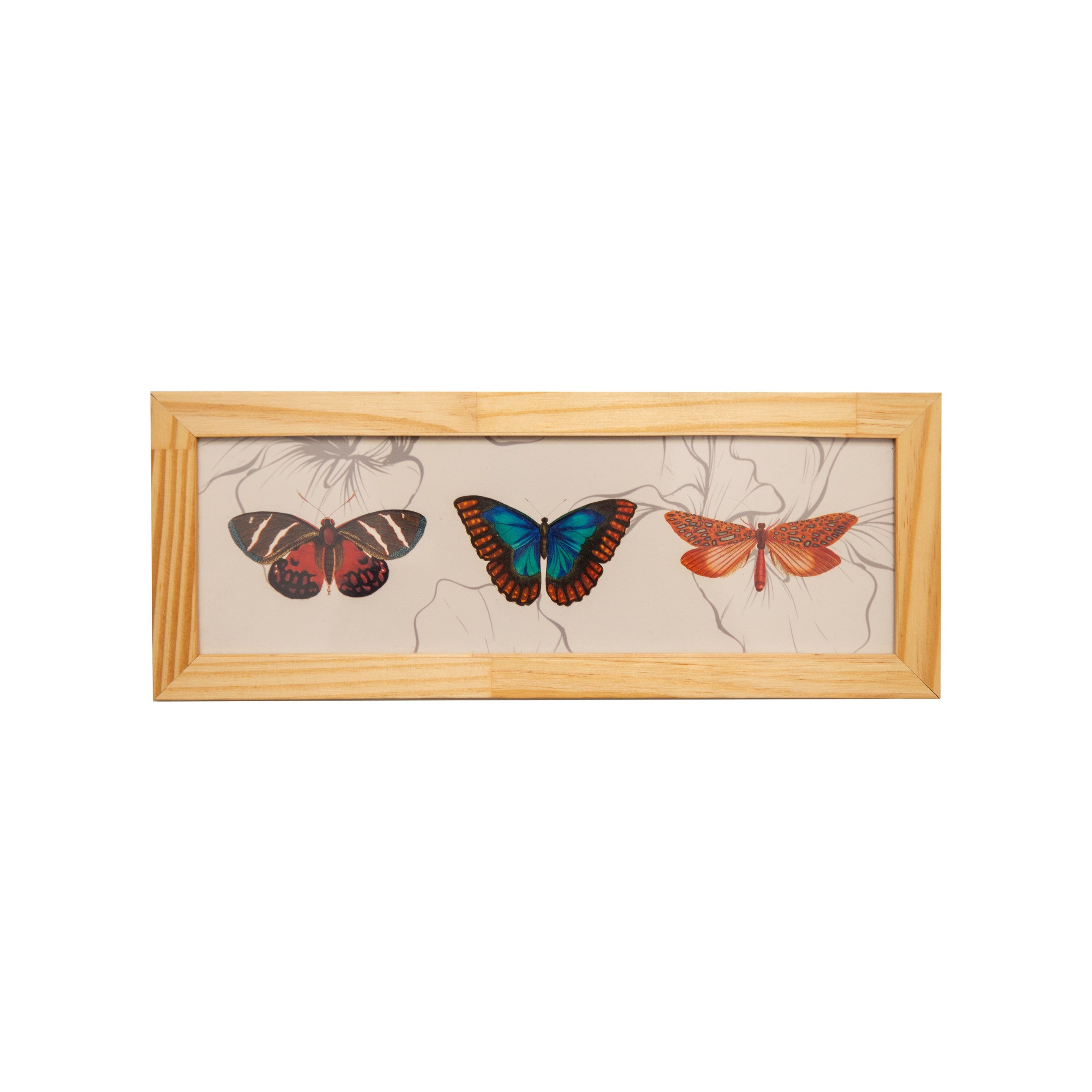 Quadro Borboleta