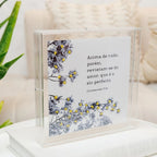 Acrílico Decorativo Colossenses 20x20 cm em Caixa de Acrílico para Inspirar Fé no Lar