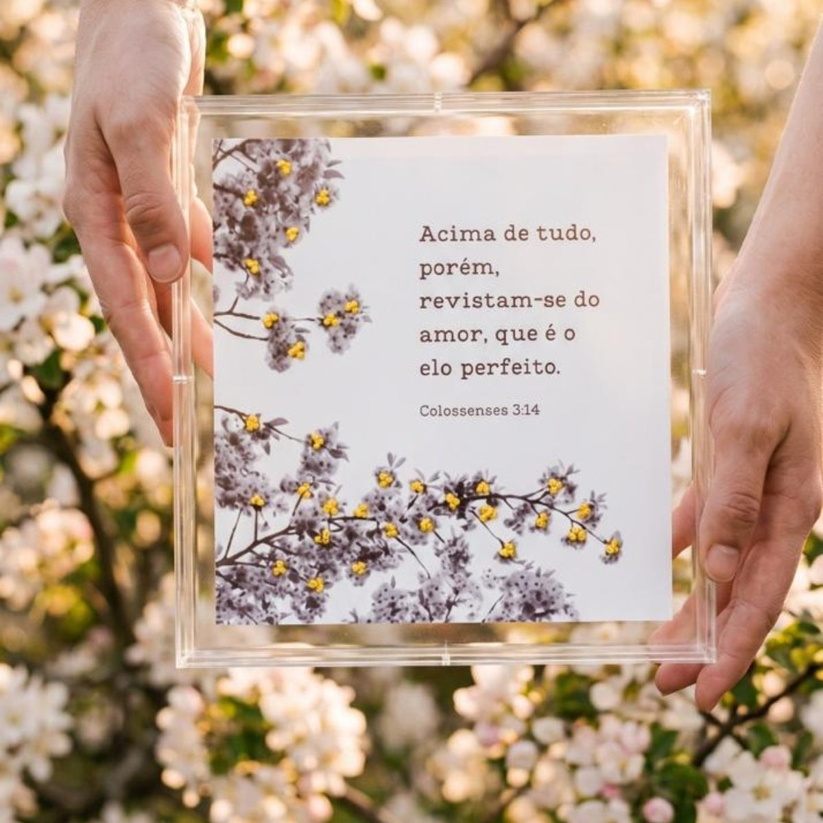 Acrílico Decorativo Colossenses 20x20 cm em Caixa de Acrílico para Inspirar Fé no Lar