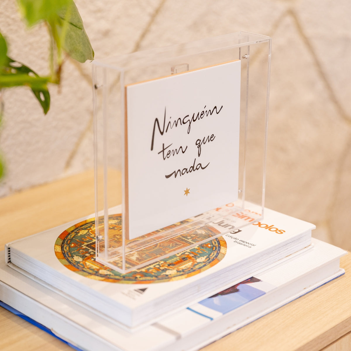 Acrílico Decorativo Ninguém Tem Que Nada