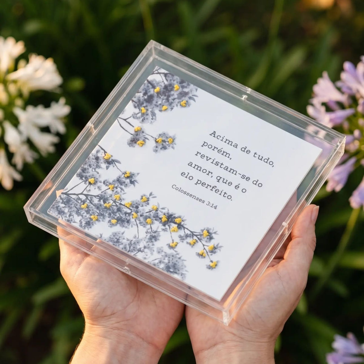 Acrílico Decorativo Colossenses 20x20 cm em Caixa de Acrílico para Inspirar Fé no Lar